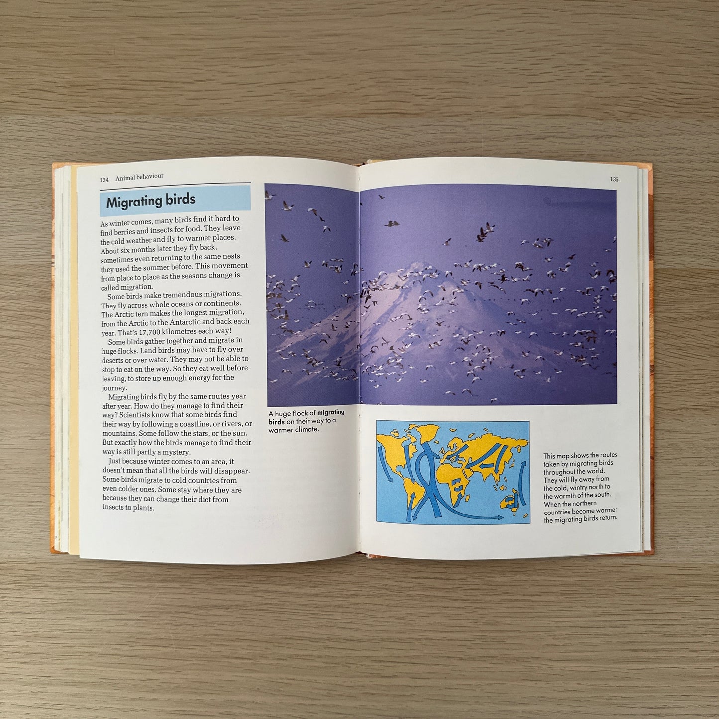 About Animals | Volume 3 | 1989 | Childcraft