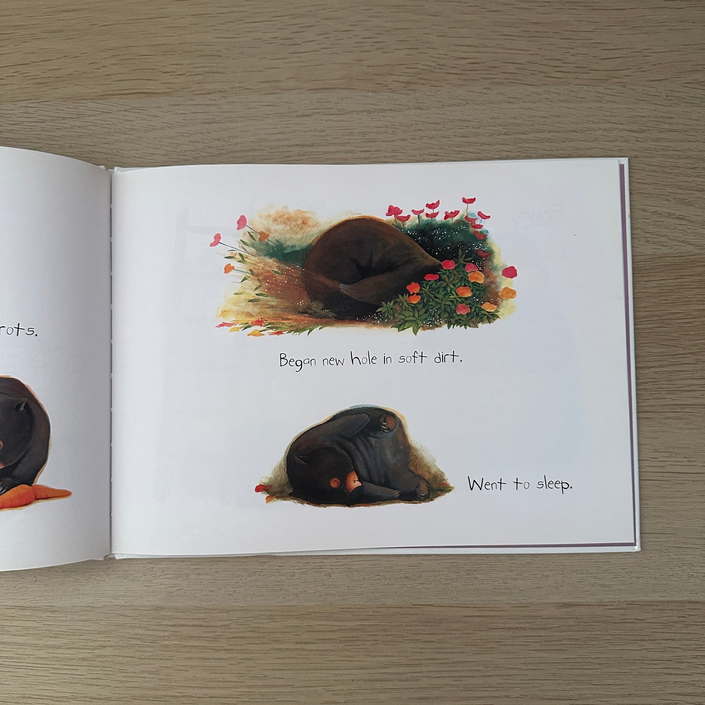 Diary of a Wombat | 2002 | Hardcover | Jackie French