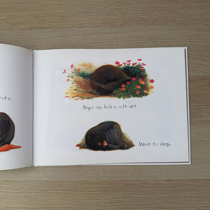 Diary of a Wombat | 2002 | Hardcover | Jackie French
