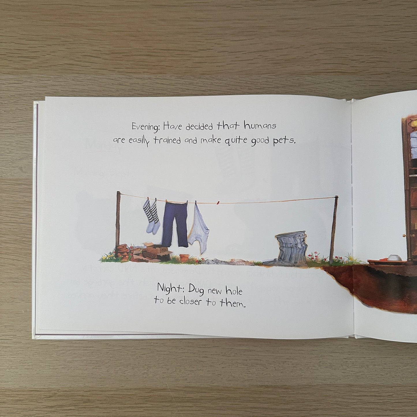 Diary of a Wombat | 2002 | Hardcover | Jackie French
