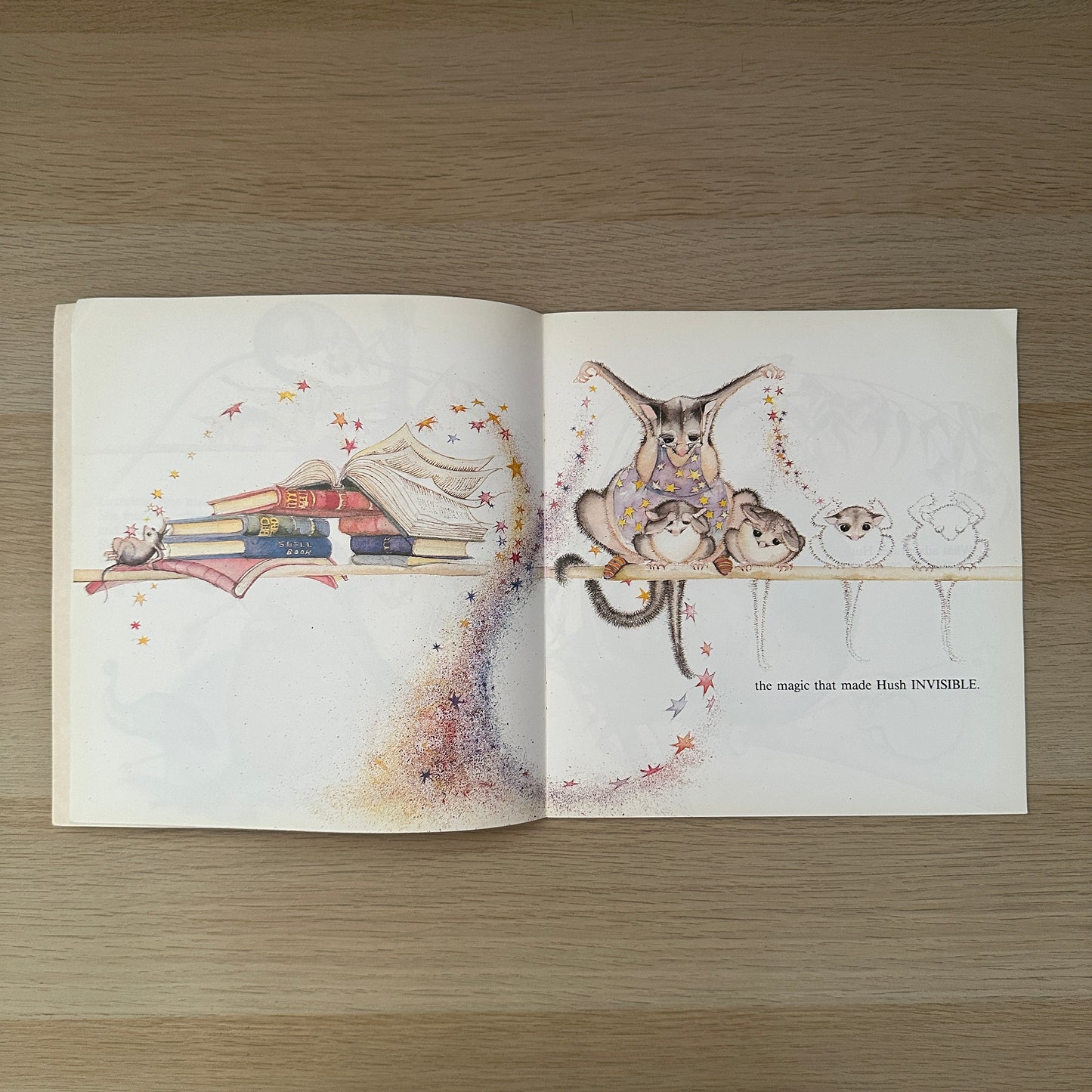 Possum Magic | 1999 | Paperback | Mem Fox