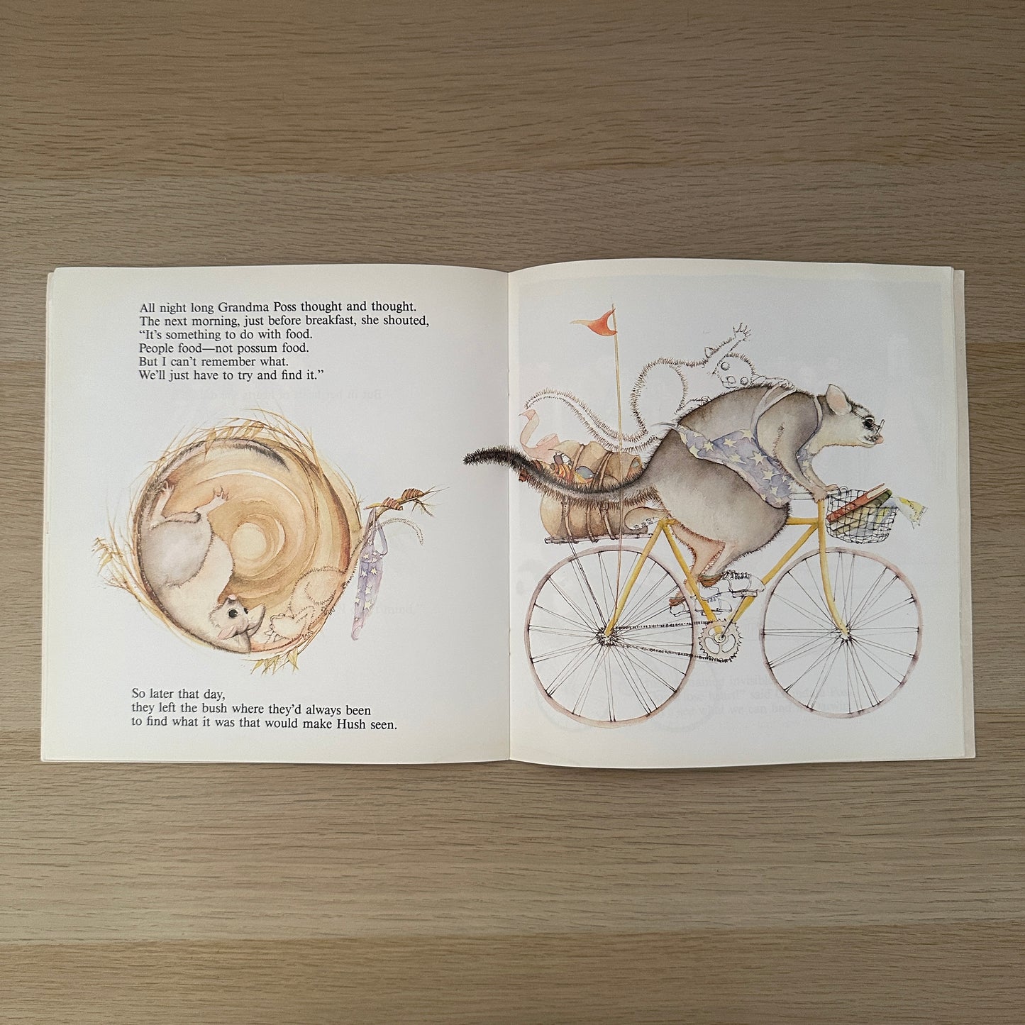 Possum Magic | 1999 | Paperback | Mem Fox