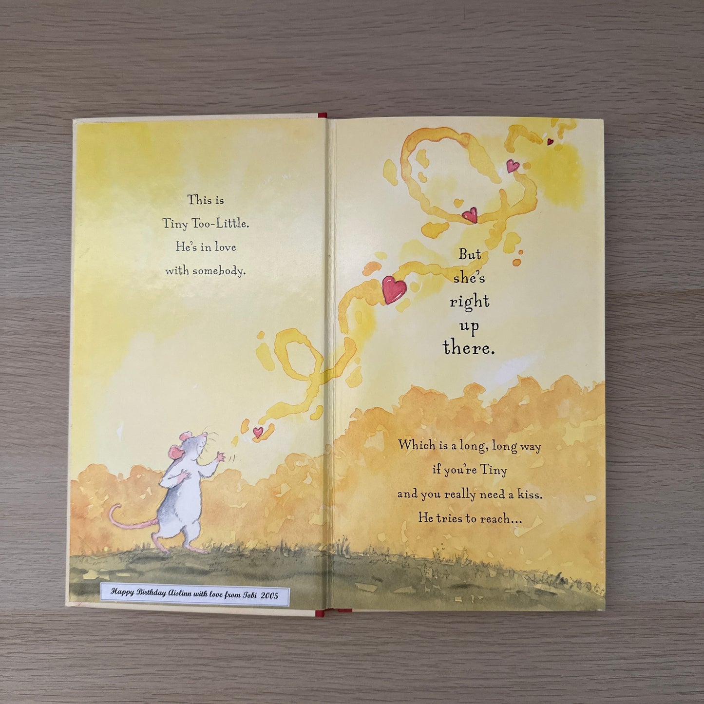 Never Too Little to Love | Hardcover | Jeanne Willis & Jan Fearnley