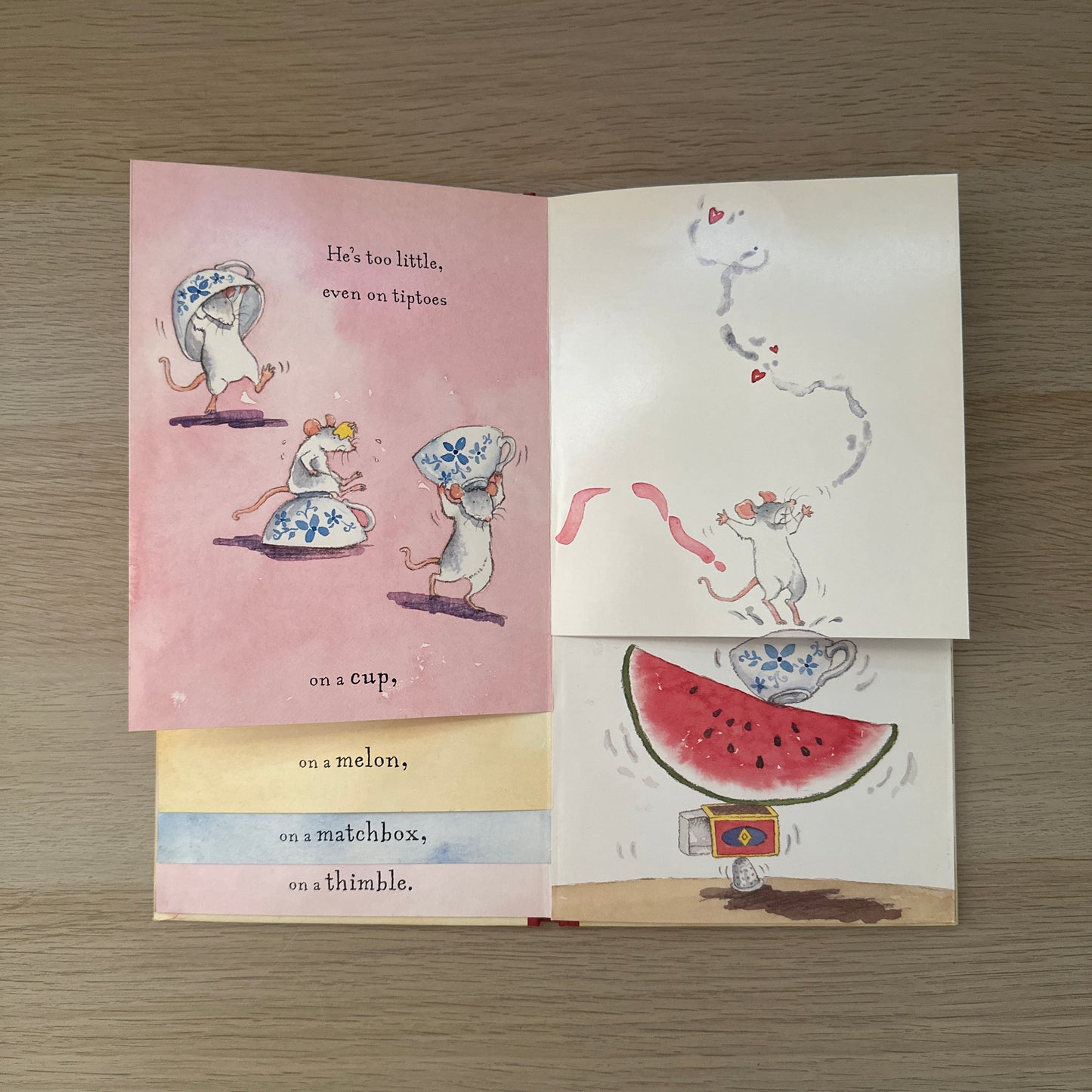 Never Too Little to Love | Hardcover | Jeanne Willis & Jan Fearnley