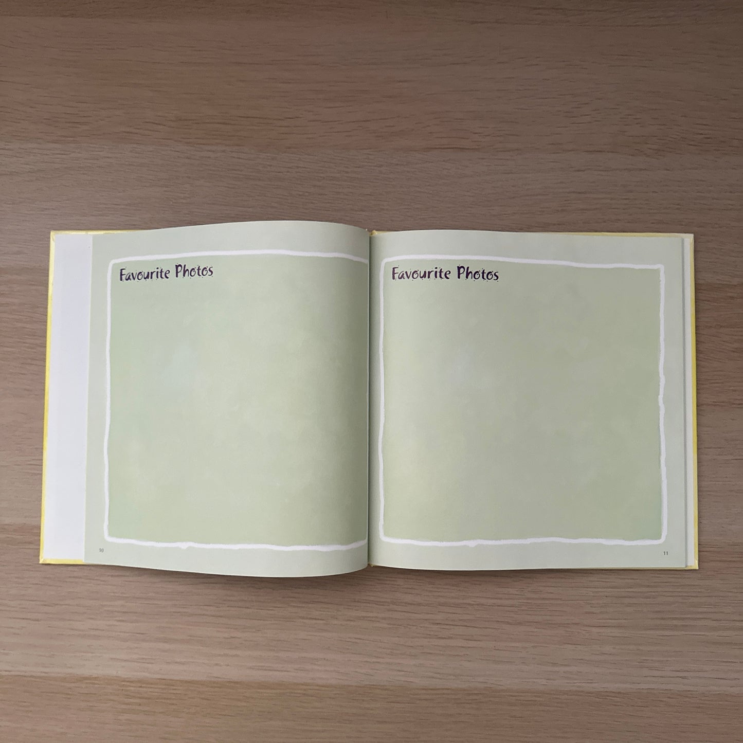 The New Arrival: A Record of the Precious First Year | Baby Book