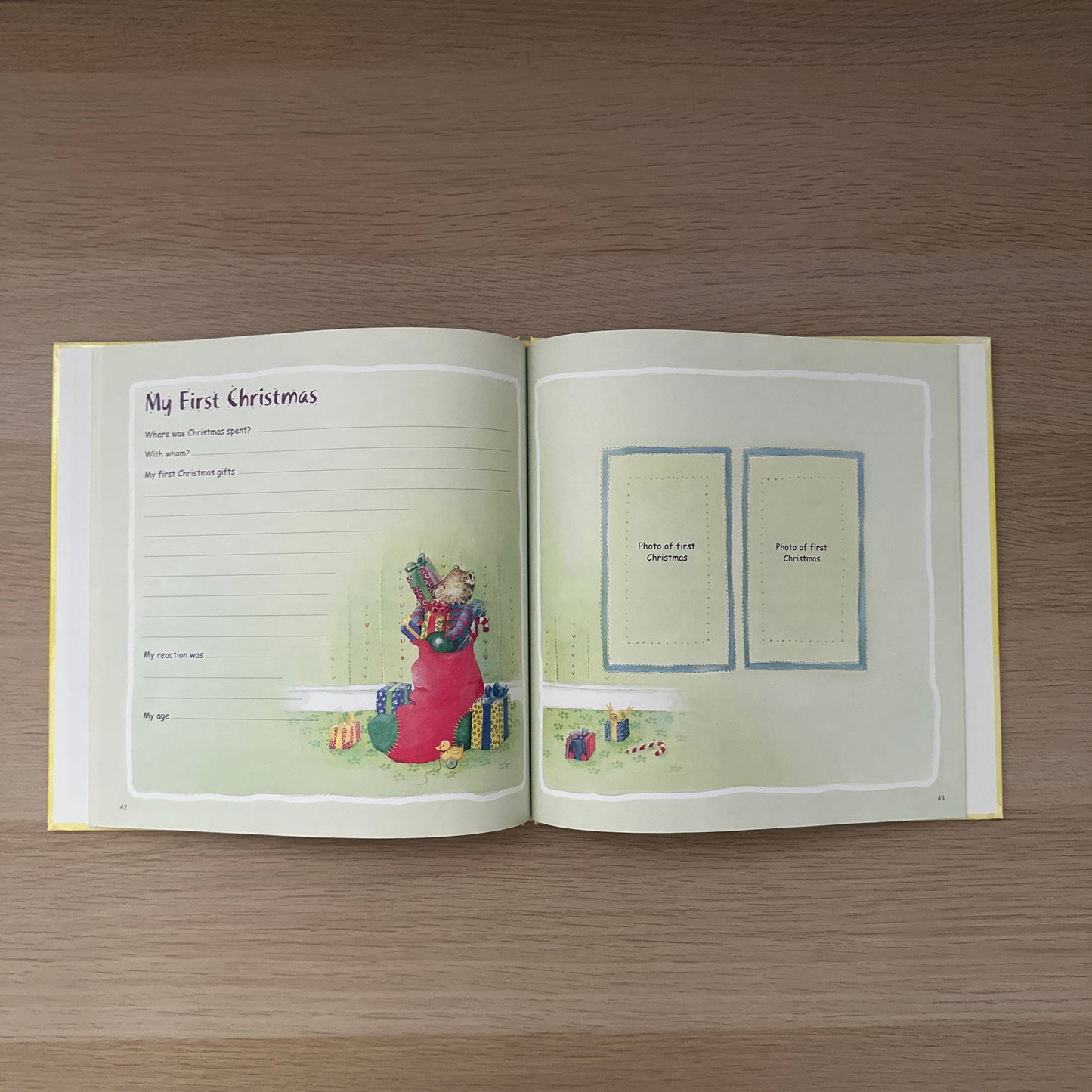 The New Arrival: A Record of the Precious First Year | Baby Book