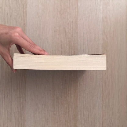 Resurrectionist | Paperback | James McGee