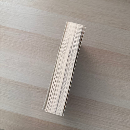 The Second Life of Amy Archer | Paperback | R.S. Pateman