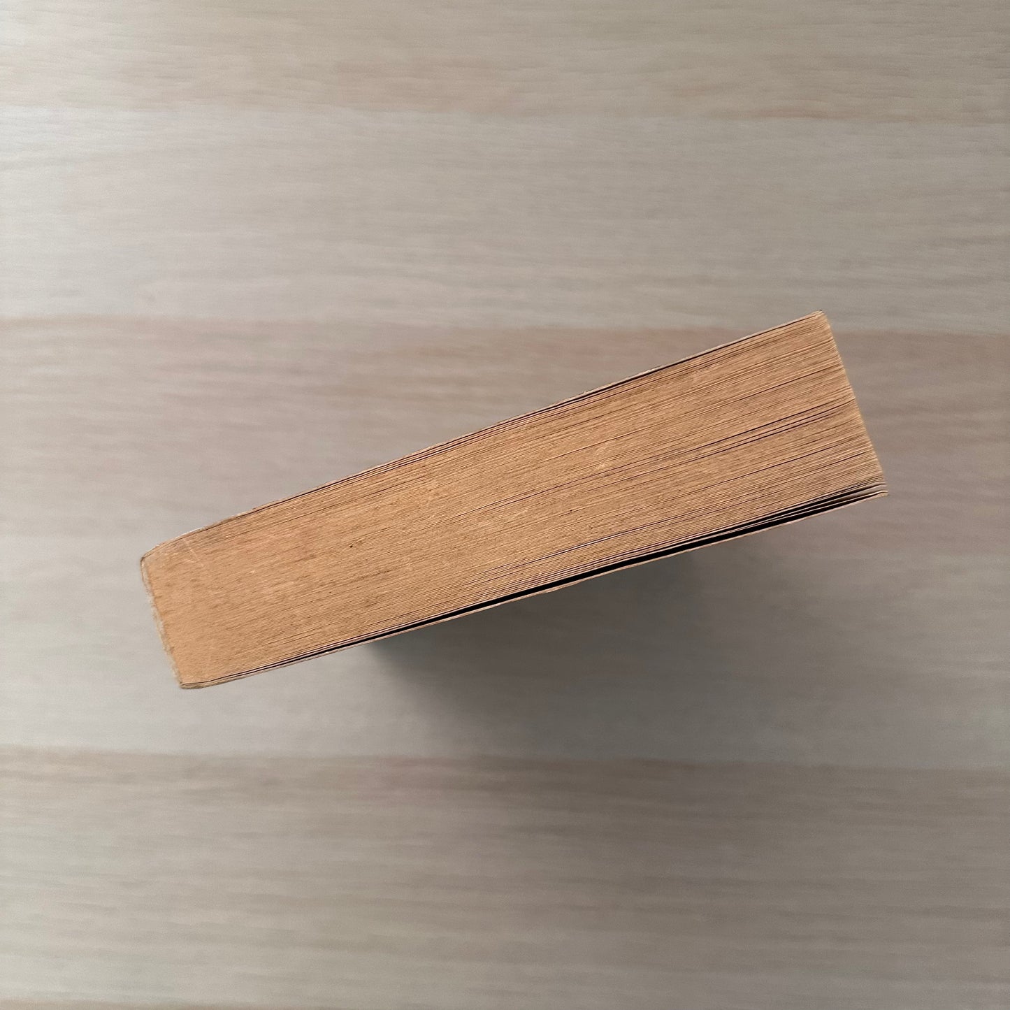 Running with the Demon | Paperback | Terry Brooks