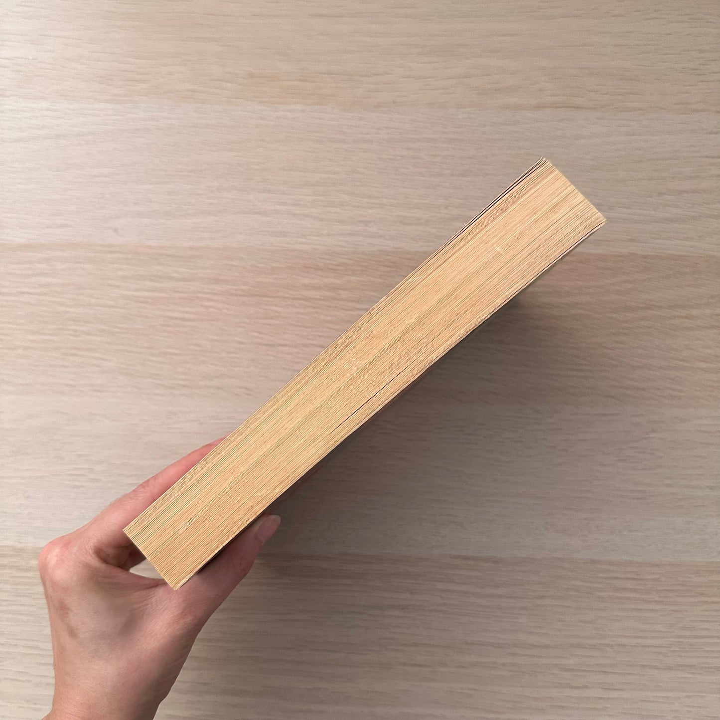 Running with the Demon | Paperback | Terry Brooks