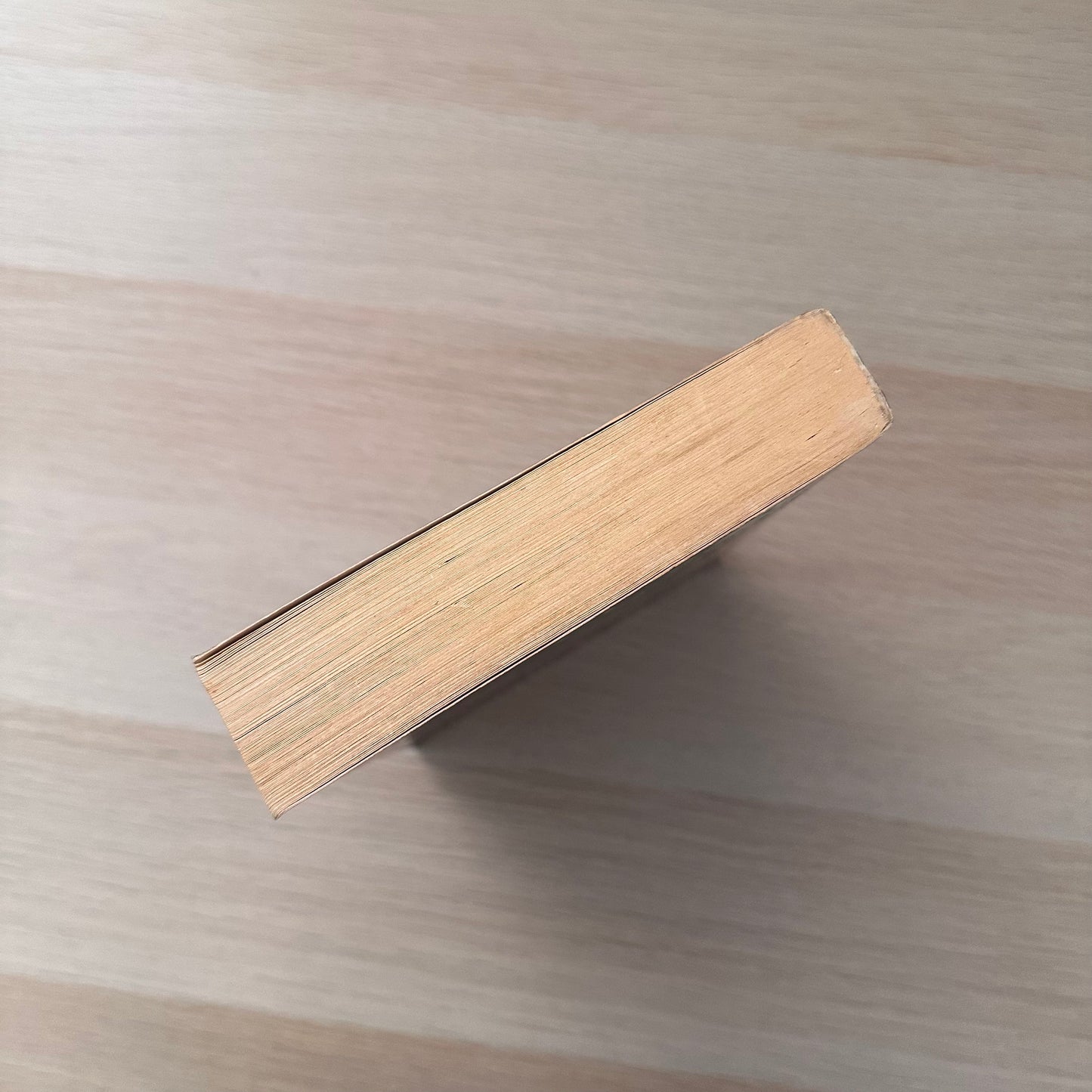 Running with the Demon | Paperback | Terry Brooks