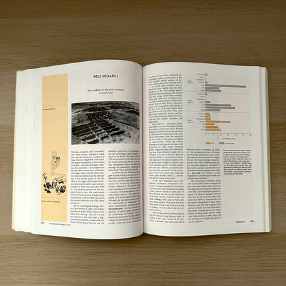 Images of the Past | 1993 | Paperback | T. Douglas Price & Gary M. Feinman