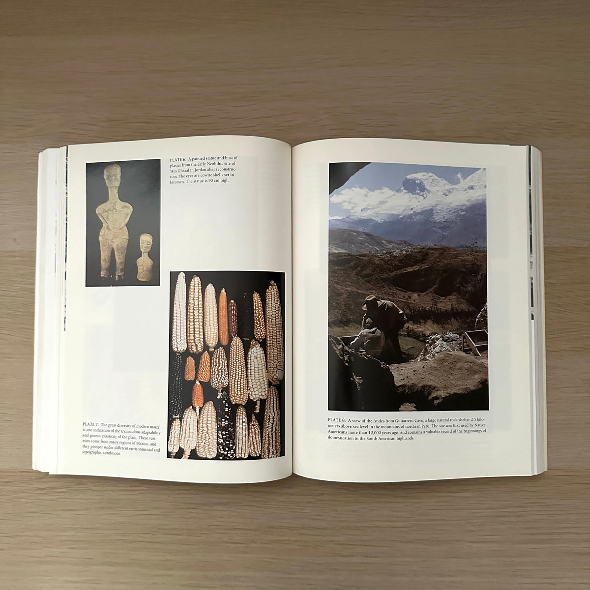 Images of the Past | 1993 | Paperback | T. Douglas Price & Gary M. Feinman