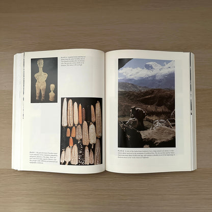 Images of the Past | 1993 | Paperback | T. Douglas Price & Gary M. Feinman