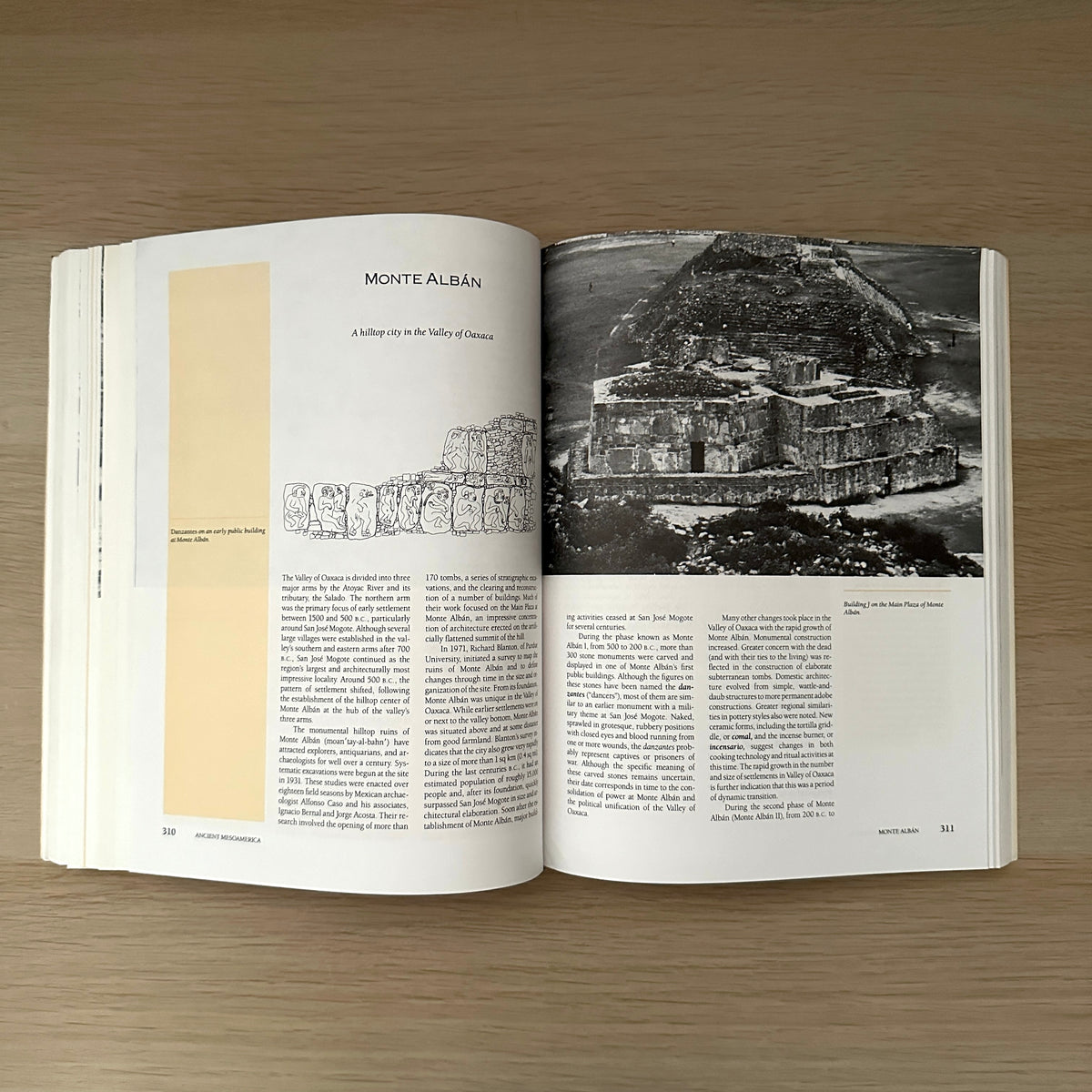 Images of the Past | 1993 | Paperback | T. Douglas Price & Gary M. Feinman