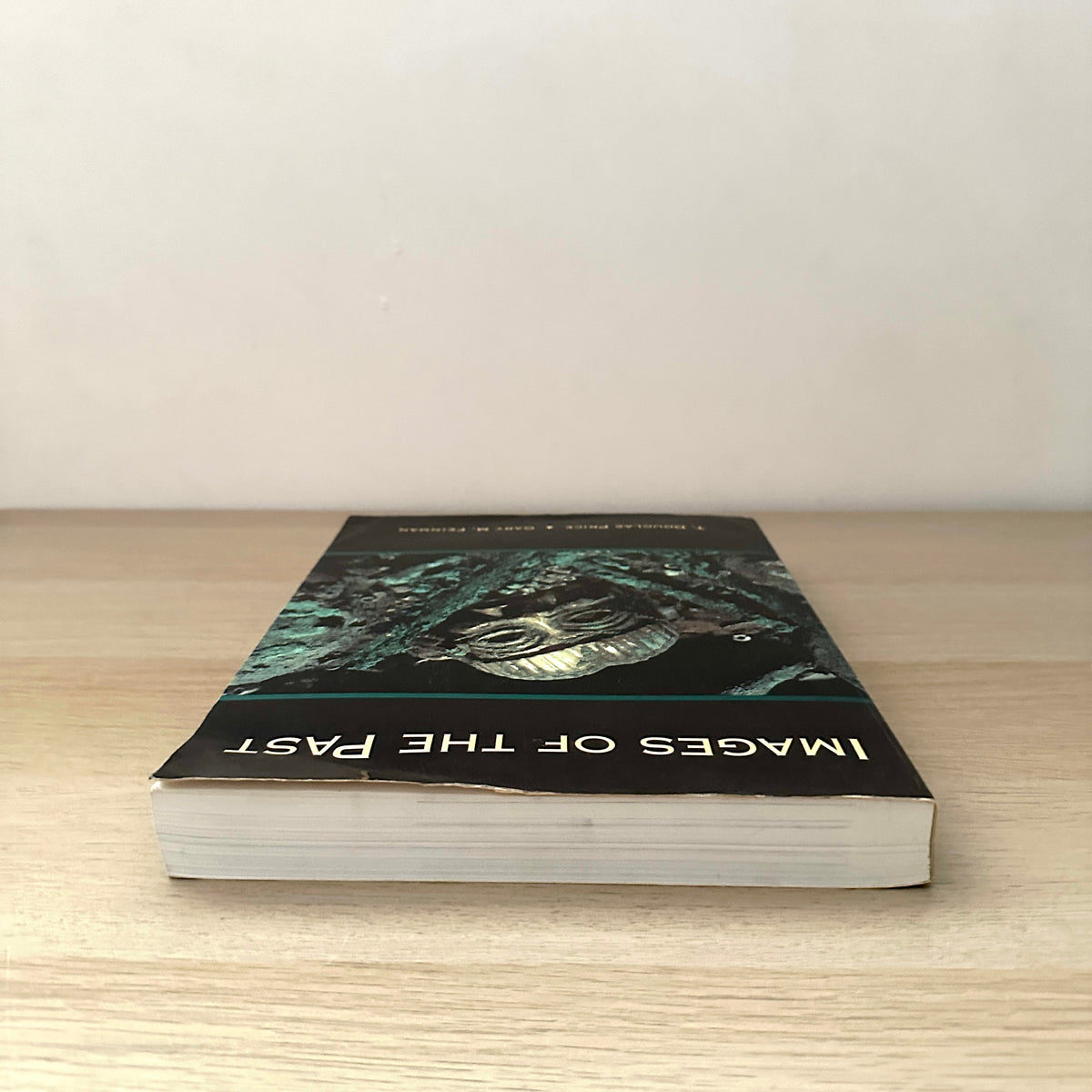 Images of the Past | 1993 | Paperback | T. Douglas Price & Gary M. Feinman