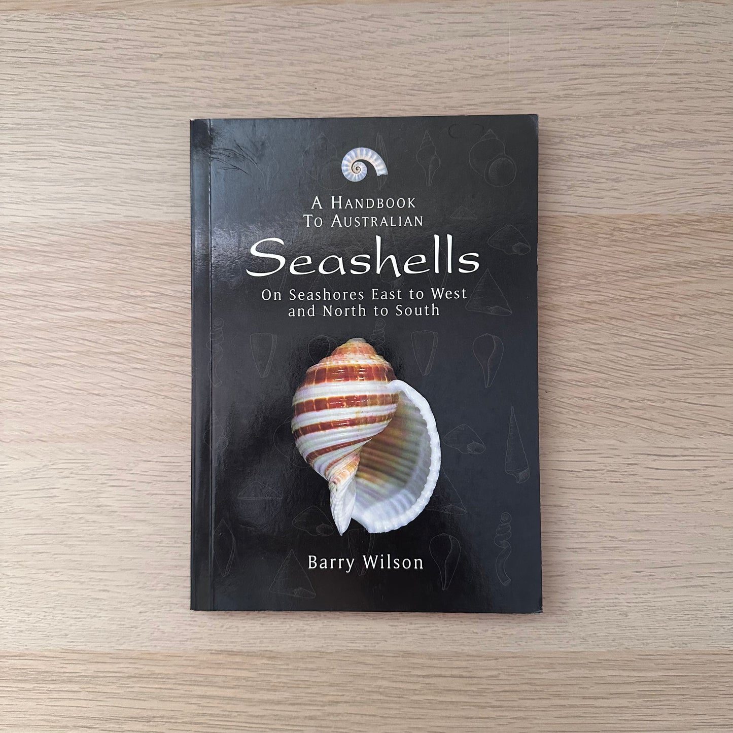 Seashells | Barry Wilson