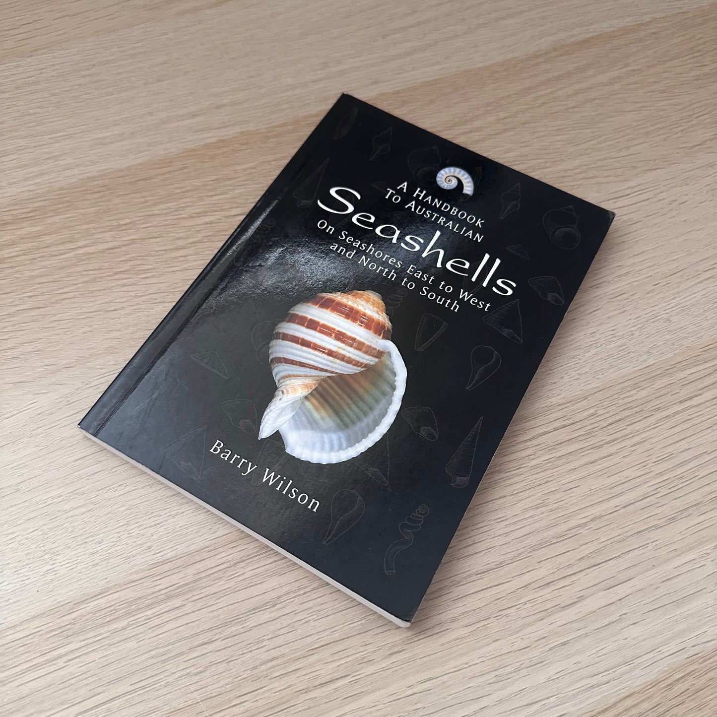 Seashells | Barry Wilson