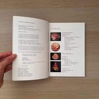 Seashells | Barry Wilson