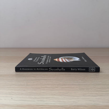 Seashells | Barry Wilson