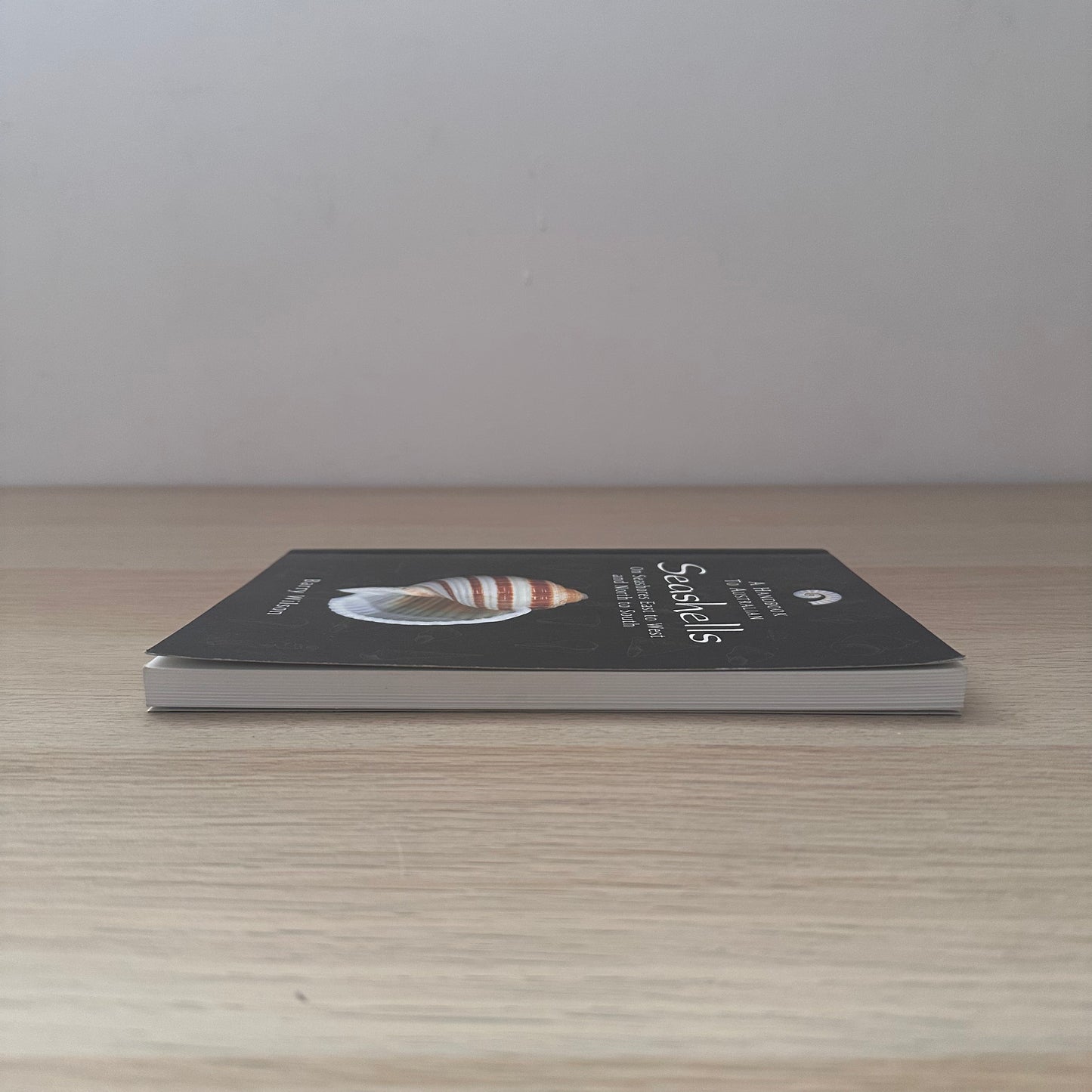 Seashells | Barry Wilson