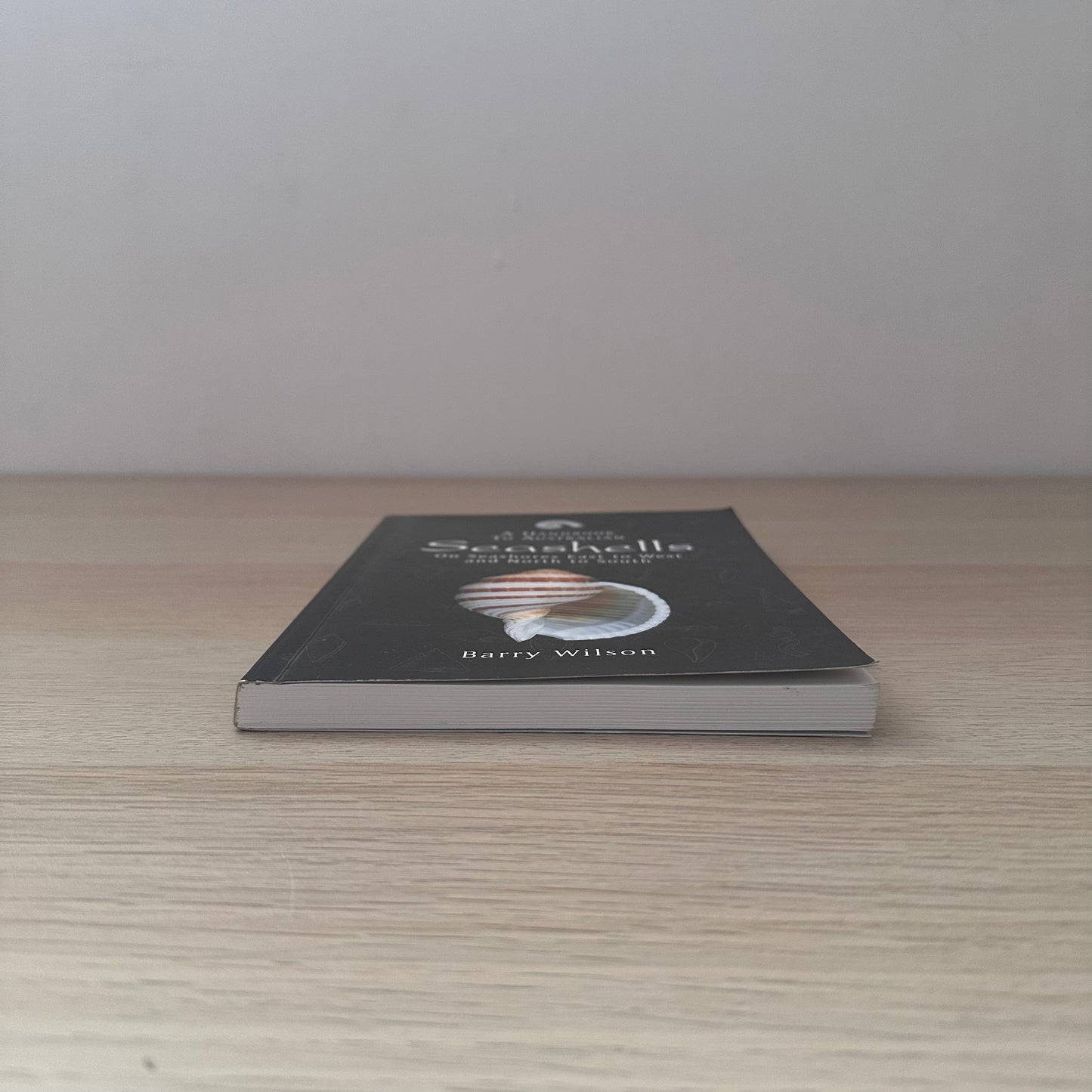 Seashells | Barry Wilson