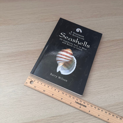 Seashells | Barry Wilson