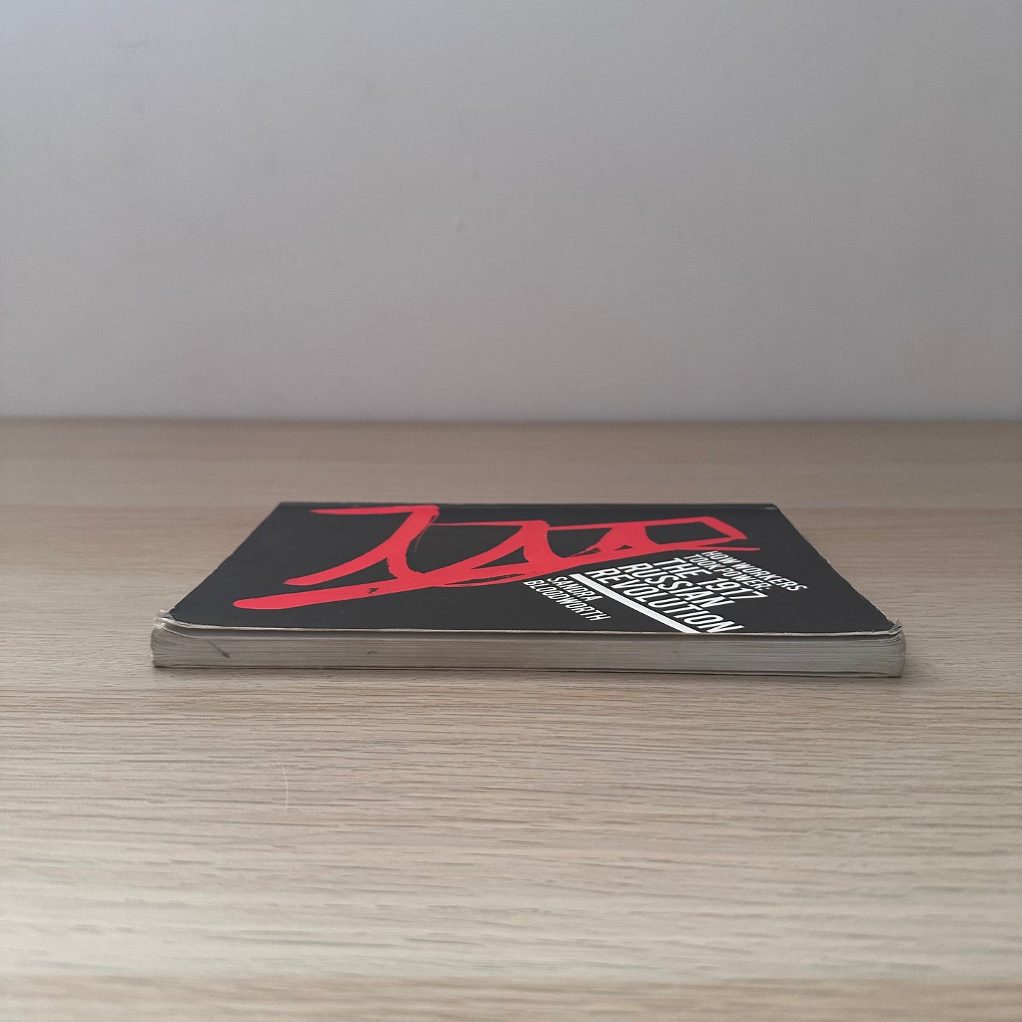 How Workers Took Power | Sandra Bloodworth