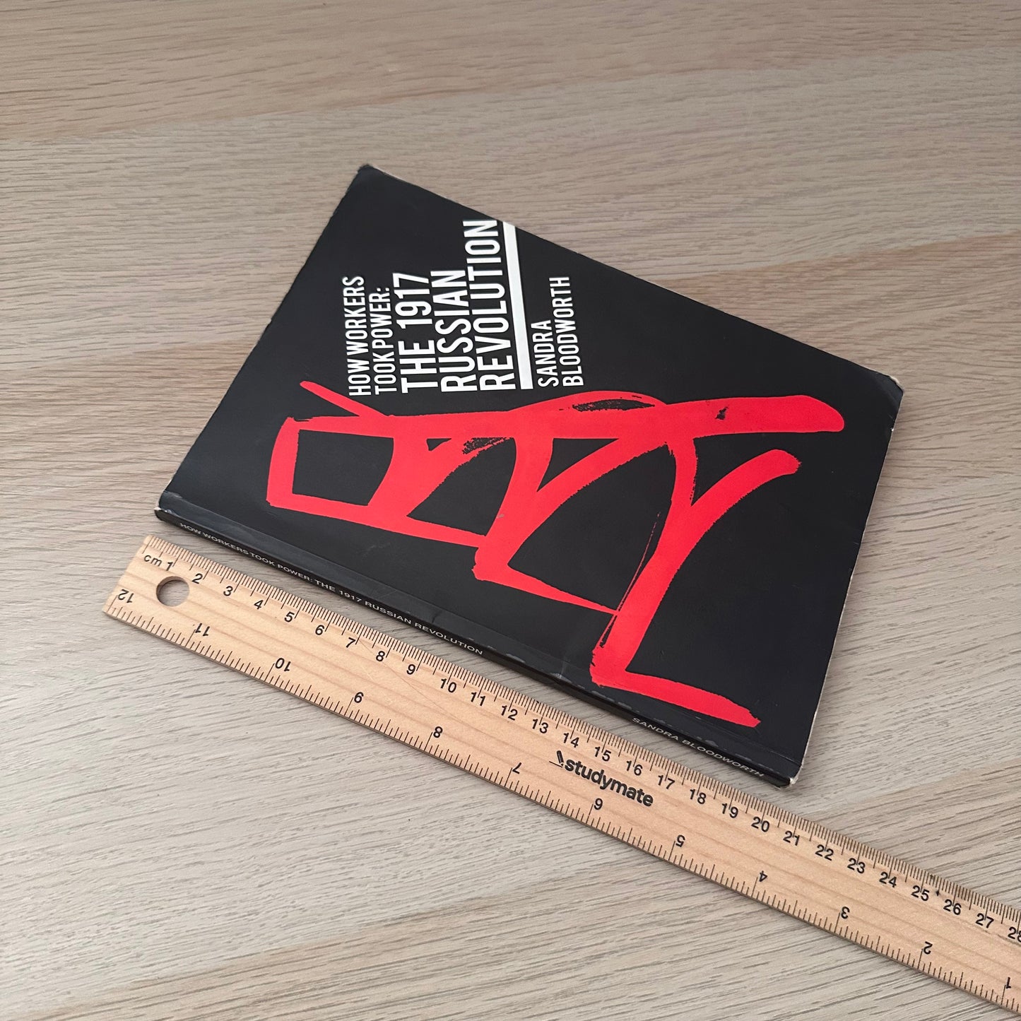 How Workers Took Power | Sandra Bloodworth