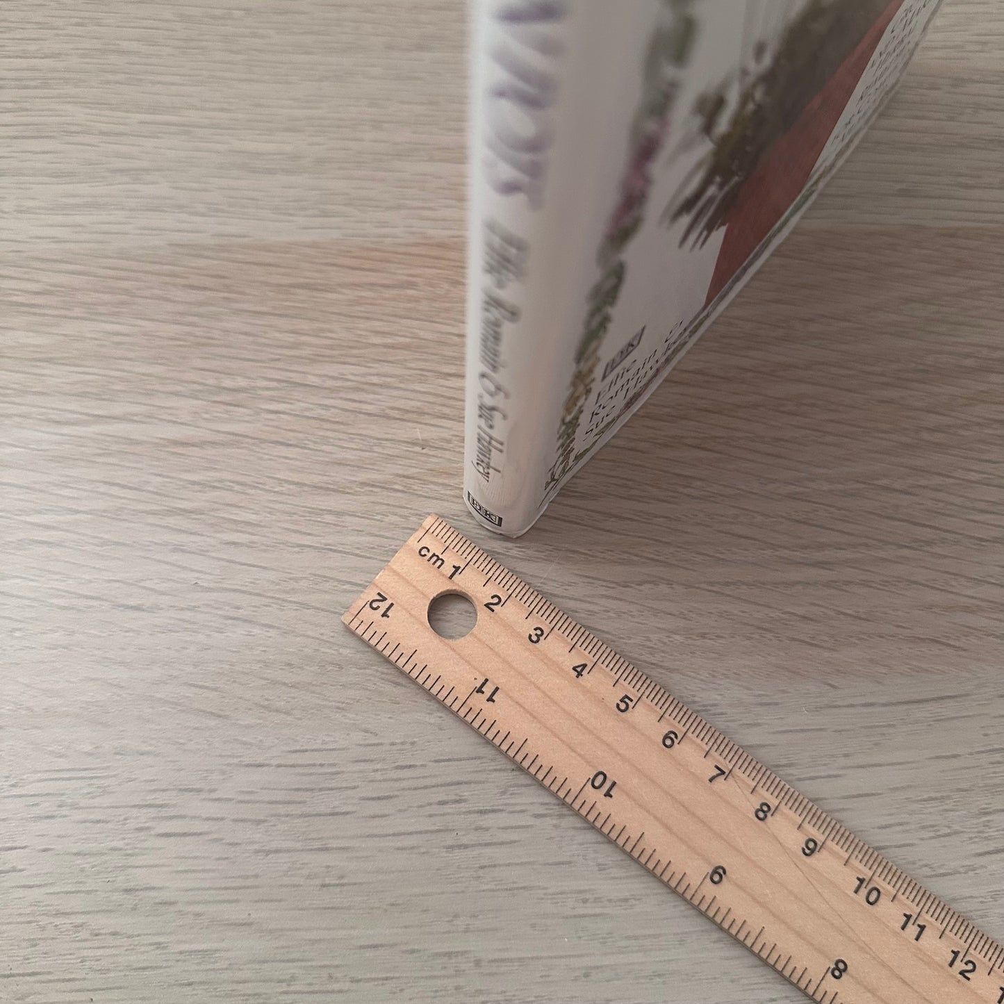 Herbal Remedies in Pots | Effie Romain & Sue Hawkey