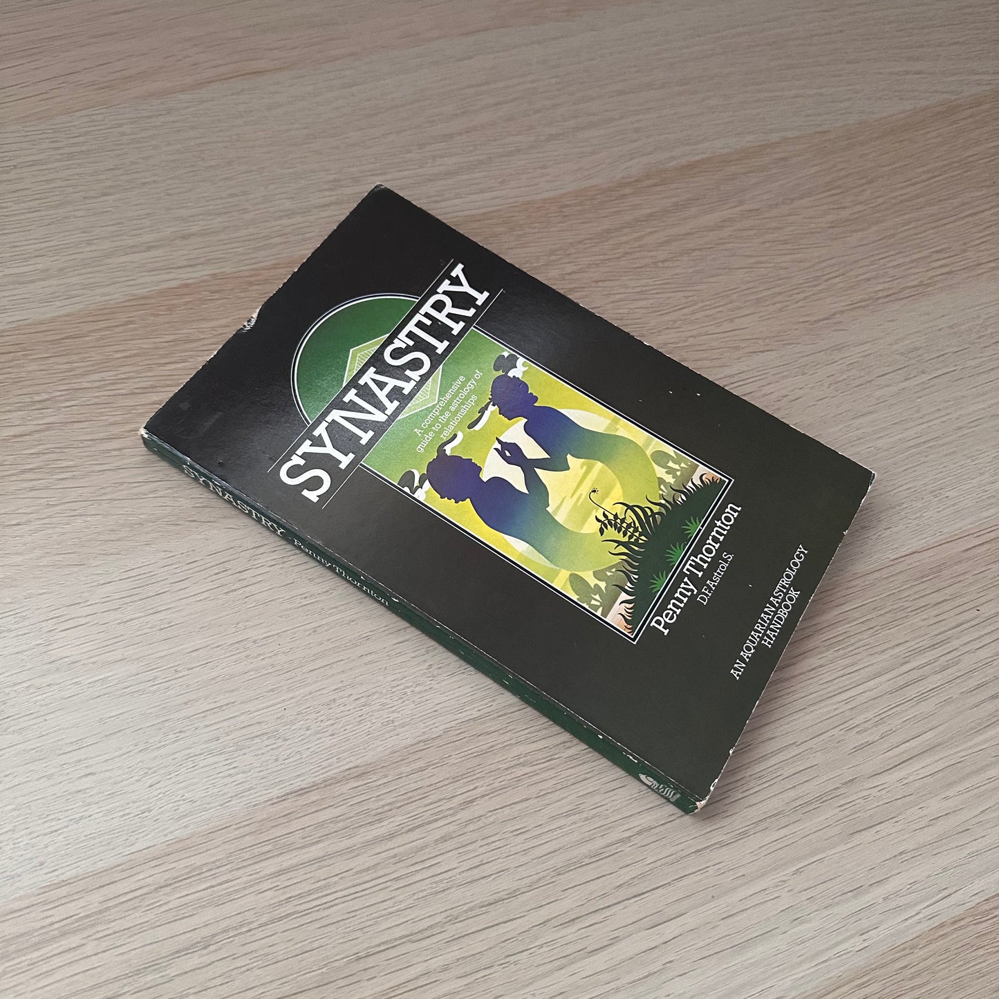 Synastry | Penny Thornton