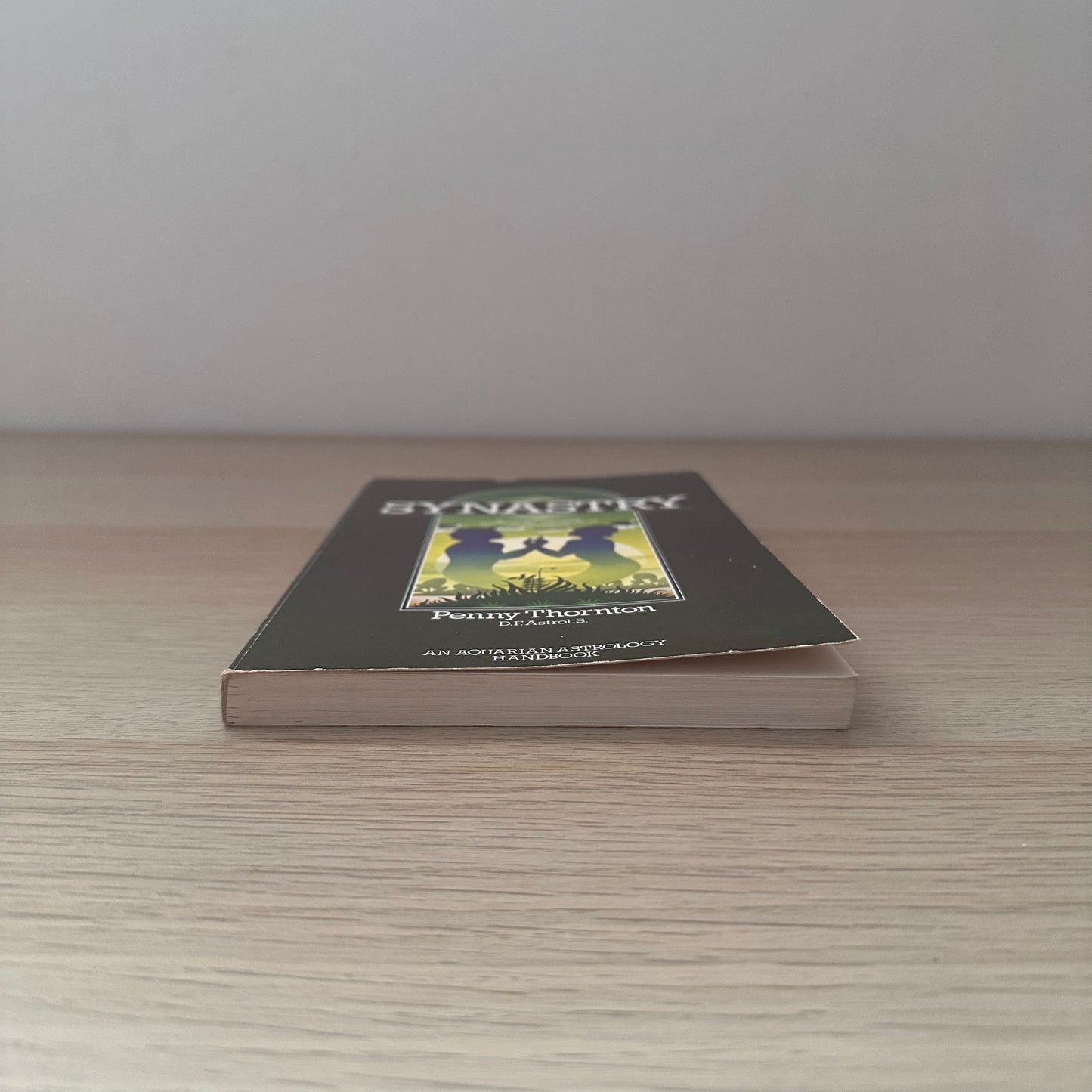 Synastry | Penny Thornton