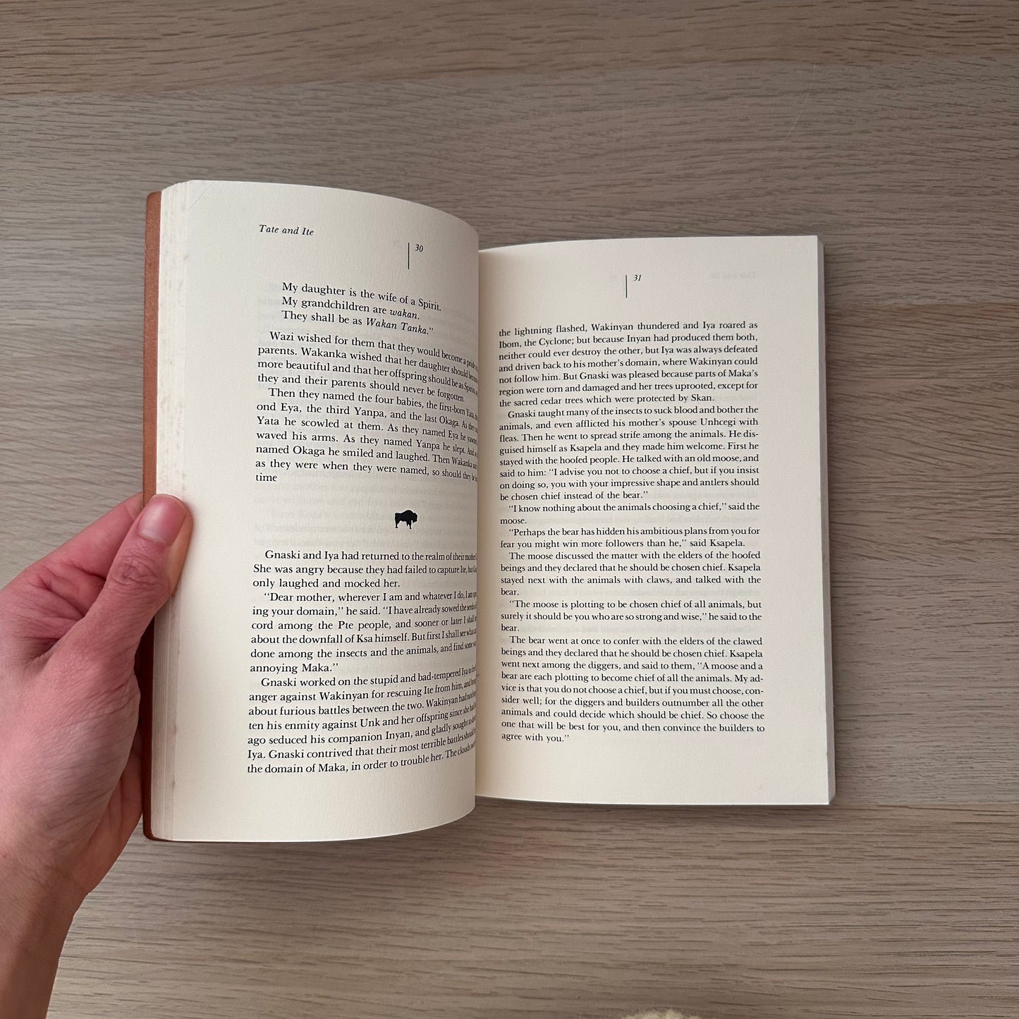 The Sons of The Wind: The Sacred Stories of the Lakota | D.M. Dooling