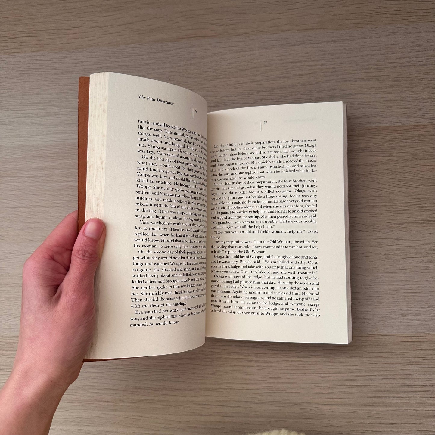 The Sons of The Wind: The Sacred Stories of the Lakota | D.M. Dooling