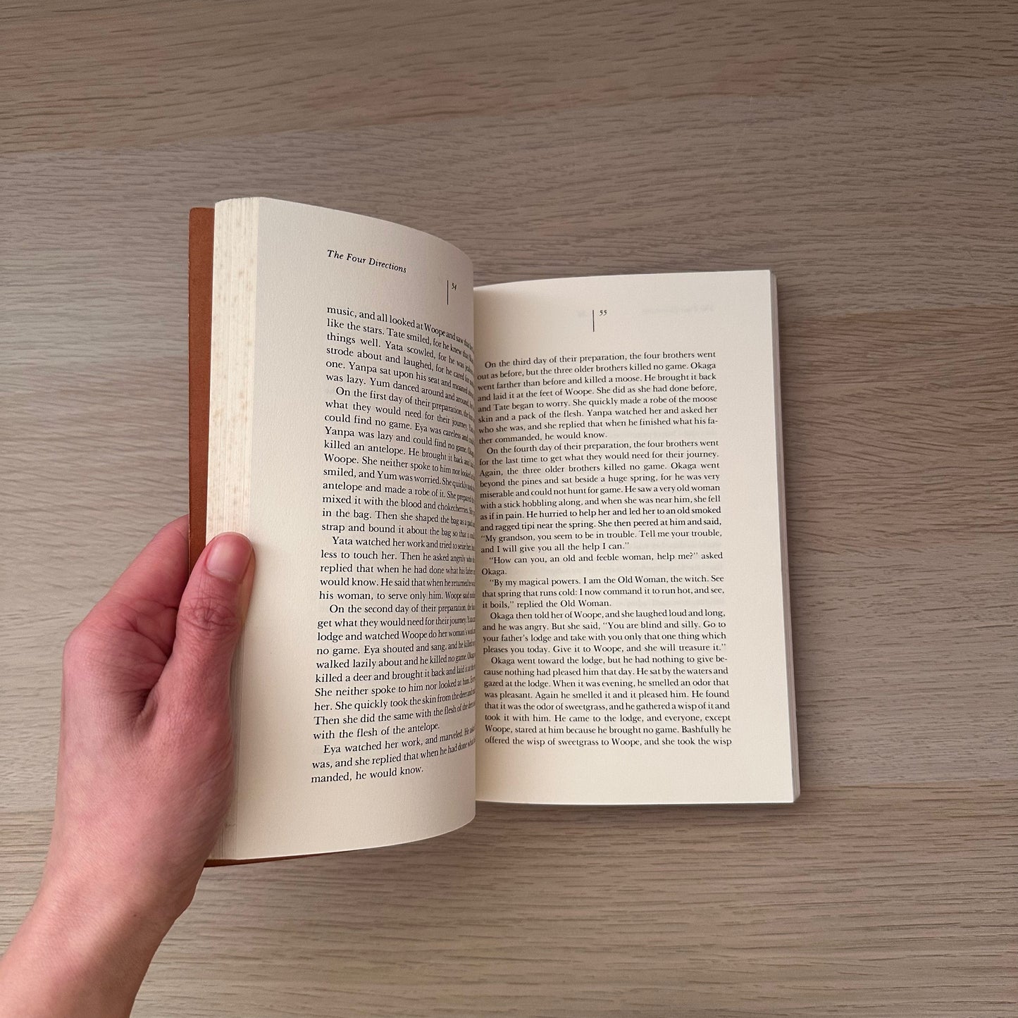 The Sons of The Wind: The Sacred Stories of the Lakota | D.M. Dooling