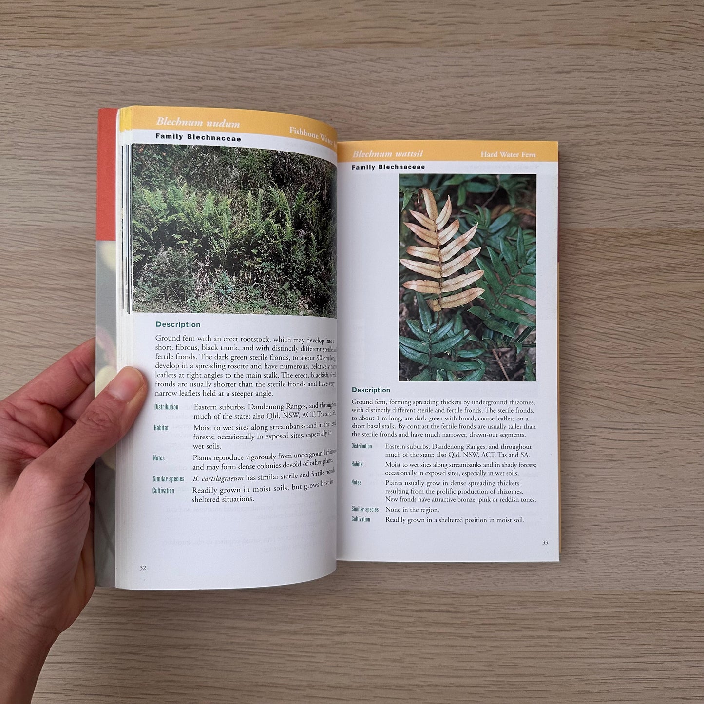 Native Plants | Barbara Jones & David Jones