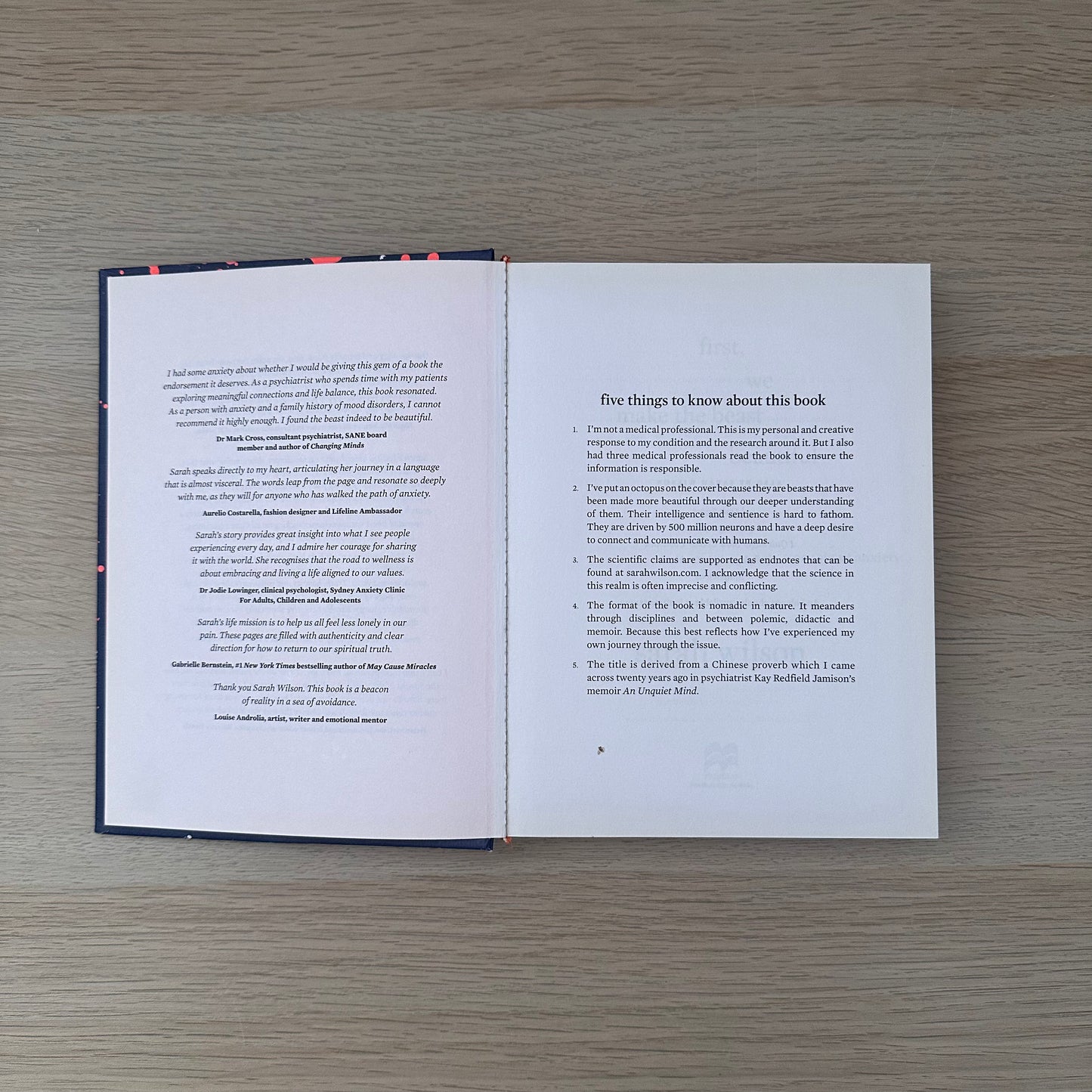 First, We Make the Beast Beautiful | Sarah Wilson