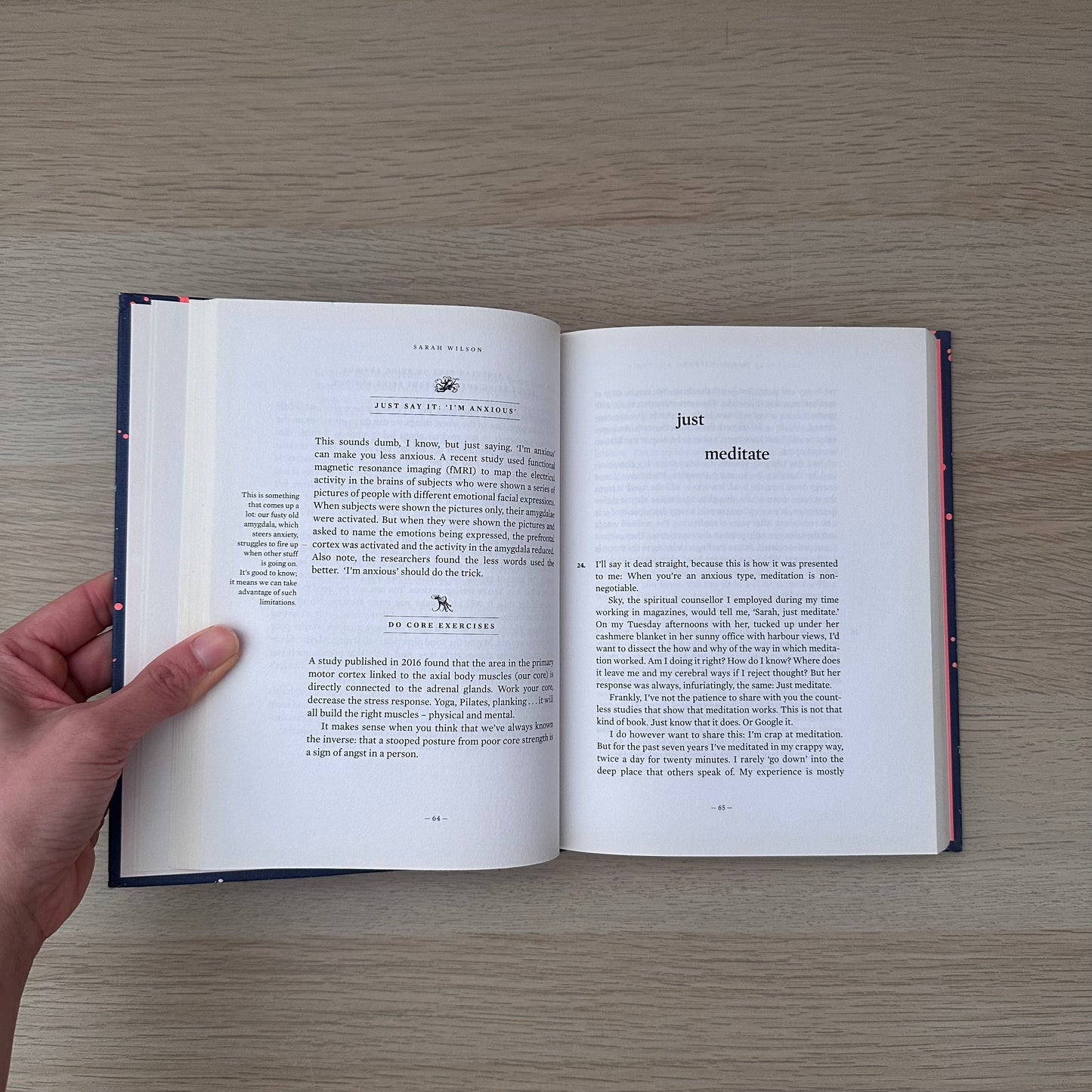 First, We Make the Beast Beautiful | Sarah Wilson