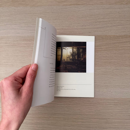 Disappearers | Art Catalogue 2009 - 2010 | Simon Gregg