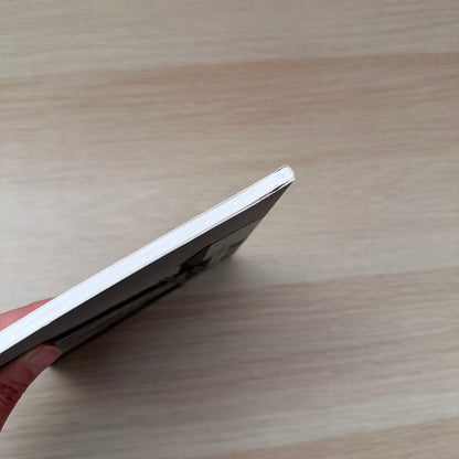 Disappearers | Art Catalogue 2009 - 2010 | Simon Gregg