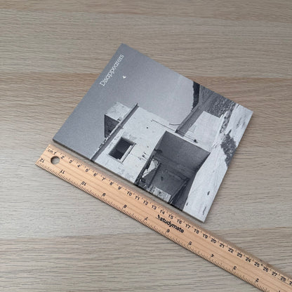 Disappearers | Art Catalogue 2009 - 2010 | Simon Gregg