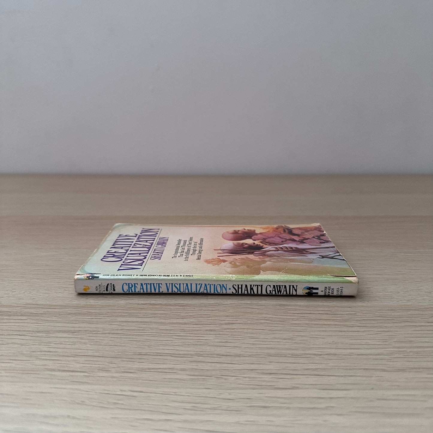 Creative Visualization | Shakti Gawain