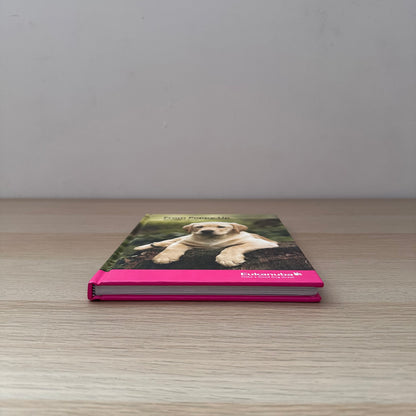 From Puppy Up: An Owner's Guide | Eukanuba