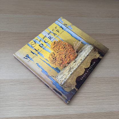 Summer Wildcrafts | Tessa Evelegh