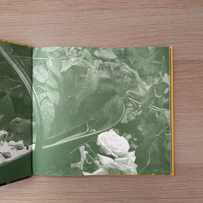 Summer Wildcrafts | Tessa Evelegh