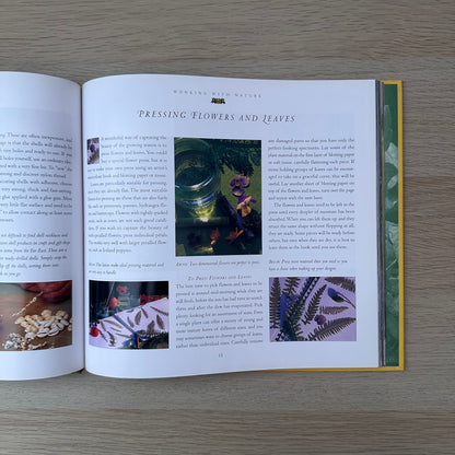 Summer Wildcrafts | Tessa Evelegh