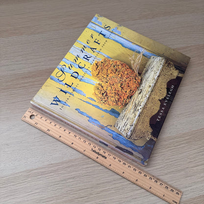 Summer Wildcrafts | Tessa Evelegh