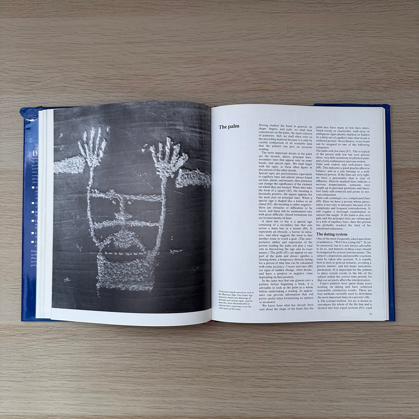 Palmistry | Maria Gardini