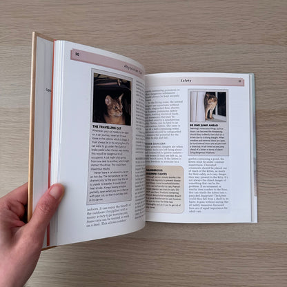 Abyssinian Cat | Virginia N. Tidwell