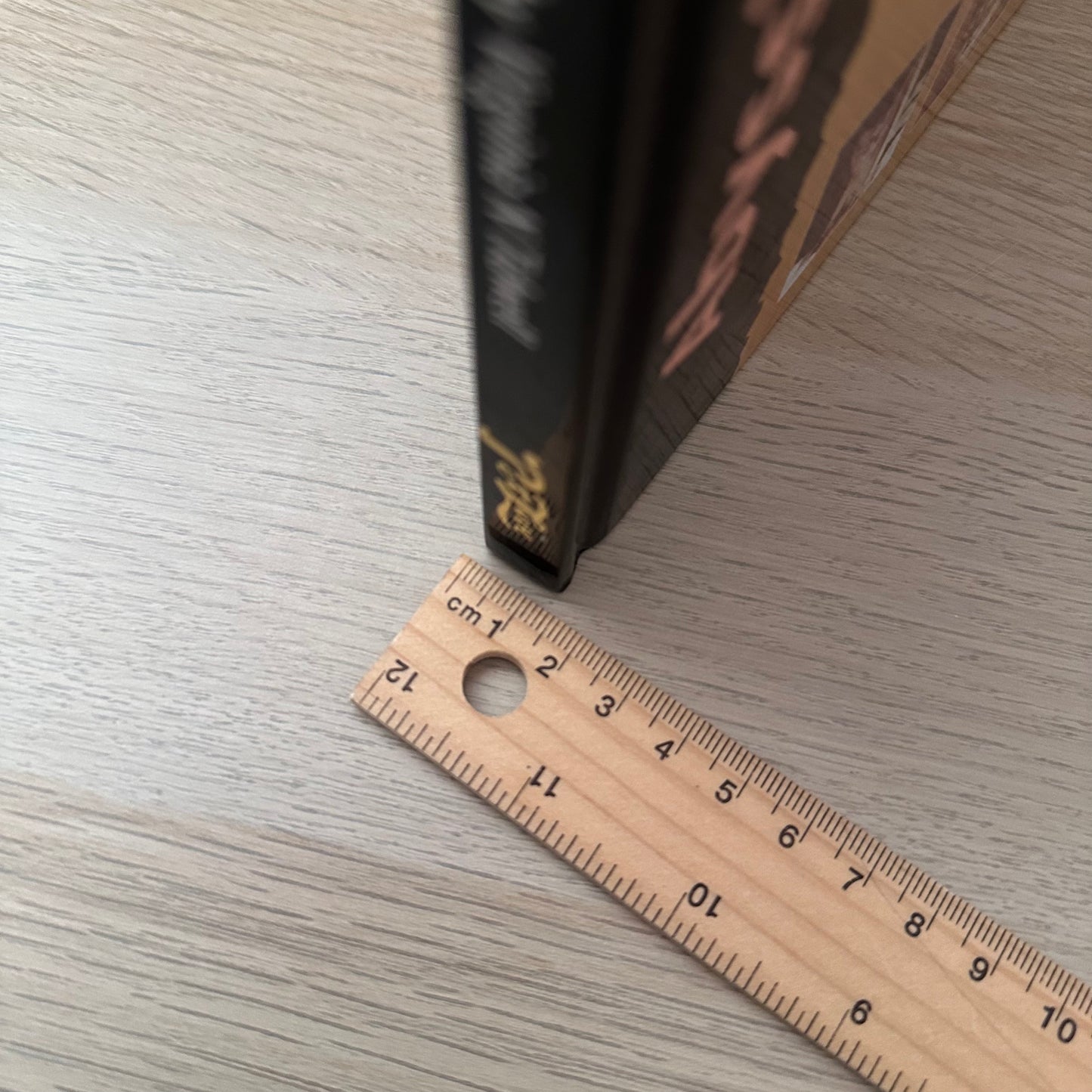 Abyssinian Cat | Virginia N. Tidwell